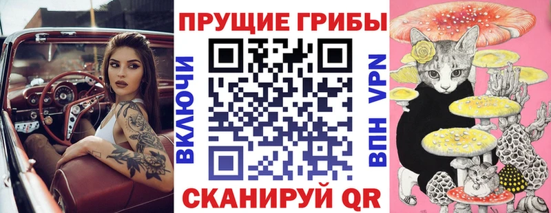 Галлюциногенные грибы Psilocybe  продажа наркотиков  Кировград 