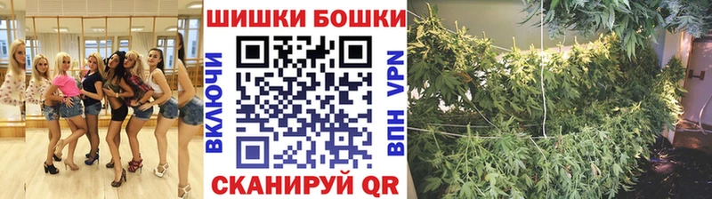 Бошки Шишки марихуана  купить   Кировград 